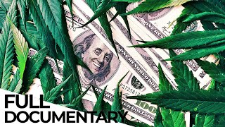 The Most Lucrative Cash Crop | Marijuana Business | ENDEVR Documentary