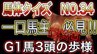 【競馬   一口馬主】 馬体クイズNO.34 G1馬3頭の歩様。　超難問！　適性を見抜けるか⁈  horse race   racehorse Japan