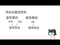 2022青少年科普影片製作比賽 高中組 ss v207 sef 【和父母長的不像的原因】