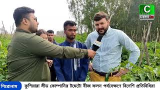 কোবরা(৩৪)টমেটো বীজ ফলন কৃষকদের উৎসাহ প্রধানে  ফ্রান্সের দুই প্রতিনিধি চকরিয়ায়।