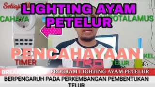 PROGRAM PENCAHAYAAN LIGHTING AYAM PETELUR UNTUK MENCAPAI PRODUKSI MAKSIMAL