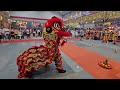 新加坡勇勁體育會 singapore yong jin lion dance cai qing performance at amk 龍山岩斗母宫 on 20 10 23