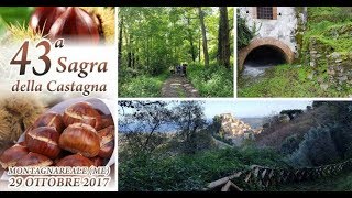 Montagnareale. 43 edizione della Sagra della Castagna.