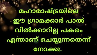 മഹാരാഷ്ട്രയിലെ ഈ ഗ്രാമക്കാർ പാൽ വില്ക്കാറില്ല, പകരം എന്താണ് ചെയ്യുന്നതെന്ന് നോക്കു.