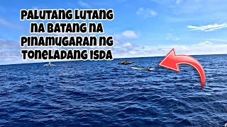 PALUTANG LUTANG NA BATANG PINAMUGARAN NG TONELADANG ISDA