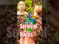 Survival Hacks Every Outdoor Enthusiast Should Know ! #shorts @YiHang1