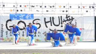 「よさこい踊り「さい」」ござれGO-SHU! 2019【鹿深夢の森】