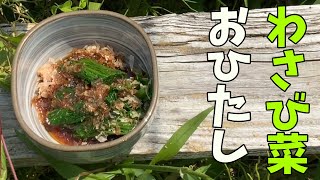 【わさび菜のおひたし】こぼれ種から育ったわさび菜をお浸しにする！！