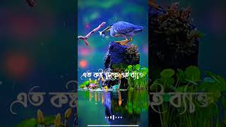 আপনাকে কেউ কষ্ট দিলে । মুচকি হেসে মাফ করে দিন এটাই তার সর্বোচ্চ শাস্তি #shorts #ytshorts #sglshorts