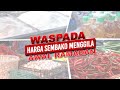 Waspada! Harga Sembako Menggila Awal Ramadan | Kabar Petang tvOne