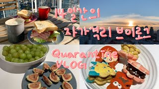 ENG) 🇨🇦 졸고 놀고 먹기만 하는 현실 자가격리 브이로그 | Quarantine Vlog | 엘라 Ella