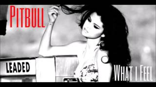 SELENA GOMEZ FT. PITBULL - I AM WHAT I FEEL [NEW] (DELETED SONG) 2016