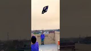 kite flying video part 3 #kiteflying #shorts #basant #kite Shugal company