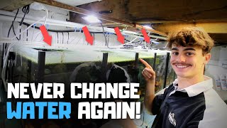 Why I NEVER Change Water in My Aquariums! (Auto Water Change System)