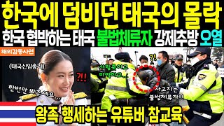 《해외감동사연》 한국에 덤비던 태국의 몰락 한국 보이콧 불법체류자 강제추방 초토화 태국 상류층 유튜버를 참교육하는 일본미녀 유튜버의 선행