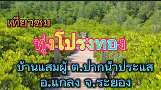 เที่ยวทะเลEp.1ทุ่งโปรงทอง