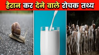 Top 10 Random facts| 10 Interesting facts in hindi|10 Unique Facts| #shorts #backtobasics #facts