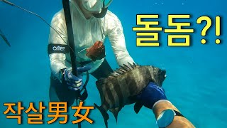 [Korean-Japanese Couple / Spearfishing] Fishing for a variety of species on the island! 1-1