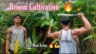 Broom Cultivation||#Tezu || Arunachal Pradesh||