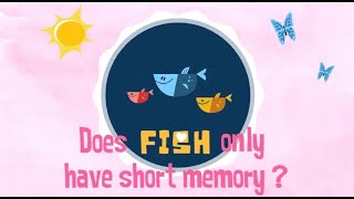 魚真的只有短暫記憶嗎？/ Does fish only have short memory?