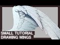 [Tutorial] How I draw wings