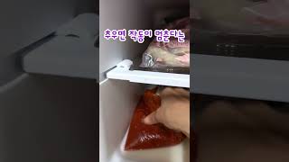 농막에 있는 냉장고가 작동을 멈춘 이유는? #컨테이너농막 #직냉식냉장고