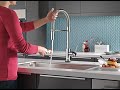 Amazon Delta Faucet Trinsic Pro Commercial Style Kitchen Faucet