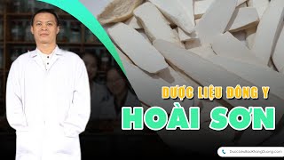 HOÀI SƠN - Đặc điểm, tác dụng và cách dùng Hoài sơn trị bệnh | Dược liệu đông Dược