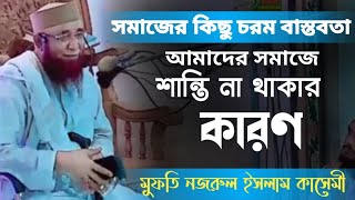 সমাজের কিছু চরম বাস্তবতা ও সমাজে শান্তি না থাকার কারণ  | mufti nazrul islam qasemi | waz 2024