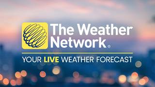 Watch The Weather Network Live: Stay updated on national weather stories and local forecasts