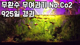 무환수 무여과기 무기포기 No Co2로 925일 경과 | No Filter, No CO2, NO WATER CHANGES