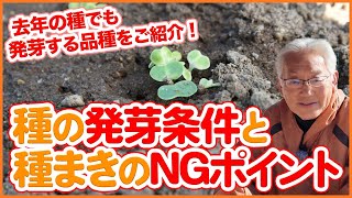 家庭菜園や農園で種の発芽条件と種まきのNGポイント！冬野菜で余った種の活用方法も徹底解説！【農園ライフ】