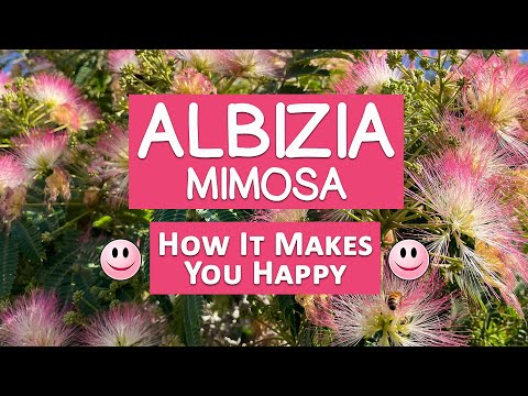 What is a tree of happiness?
