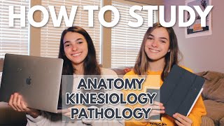 How We Study in Physical Therapy School | Anatomy, Kinesiology, Pathology