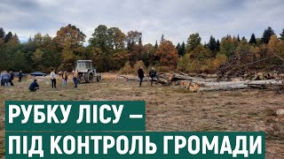 Депутати Брошнів-Осадської громади на Франківщині запровадили громадський контроль за вирубкою лісу