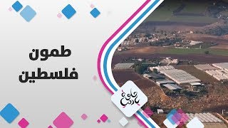 طمون - فلسطين - حلوة يا دنيا