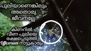 പാലക്കാട്‌ നെല്ലിയാമ്പതിയിൽ കിണറിൽ വീണ പുലിയെ രക്ഷപ്പെടുത്തി #youtubevideo #@AmnoosRinoosworld