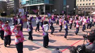 第15回浜松がんこ祭(2015/3/14)「同志社大学よさこいサークル「よさ朗」」