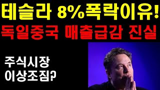 테슬라 8%폭락 이유! 독일 중국 매출 급락 배경! 테슬라 진짜 끝인가? 팔란티어 더 폭락할까? 주식시장 이상조짐인가? 테슬라의 자율주행 중국출시 큰 반향! 비트코인 폭락!