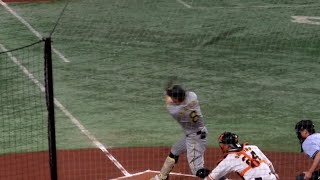 佐藤輝明選手のバットが観客席に入り、騒然とする東京ドーム