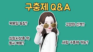 사람 구충제! 대신 먹여도 될까요 안 될까요?🤔 | 구충제 Q\u0026A