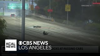 Man seen throwing rocks onto 110 Freeway in South Los Angeles