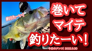 【今日のナンコ！2022.9.30】巻いてマイテ釣りたーい！【琵琶湖バスガイド】