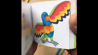the flipping book Birds