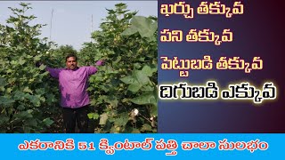 అమృత్ ప్యాటర్న్ ద్వారా ప్రయోజనాలెన్నో || Benefits os amruth cotton farming