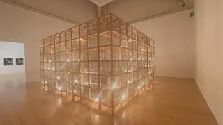 Mona Hatoum – Current Disturbance