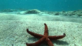 50 SFUMATURE DI BLU  SALENTO