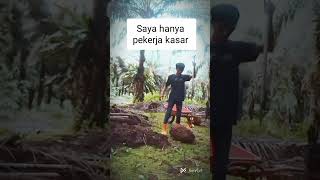 ternyata segini gaji kerja panen sawit