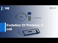 Mutagenesis & Functional Selection Protocols For Directed Evolution l Protocol Preview