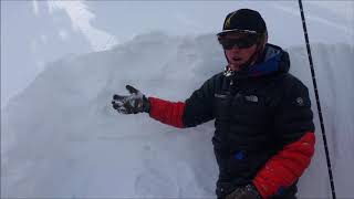 Reactive Weak Layers in Upper Snowpack